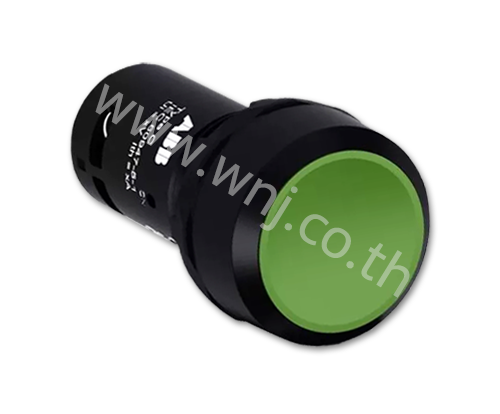 Pushbutton, CP1-10G-10